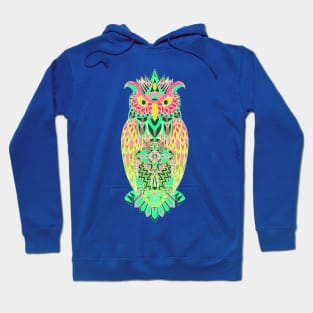 owl of wisdom pattern ecopop in boho style Hoodie